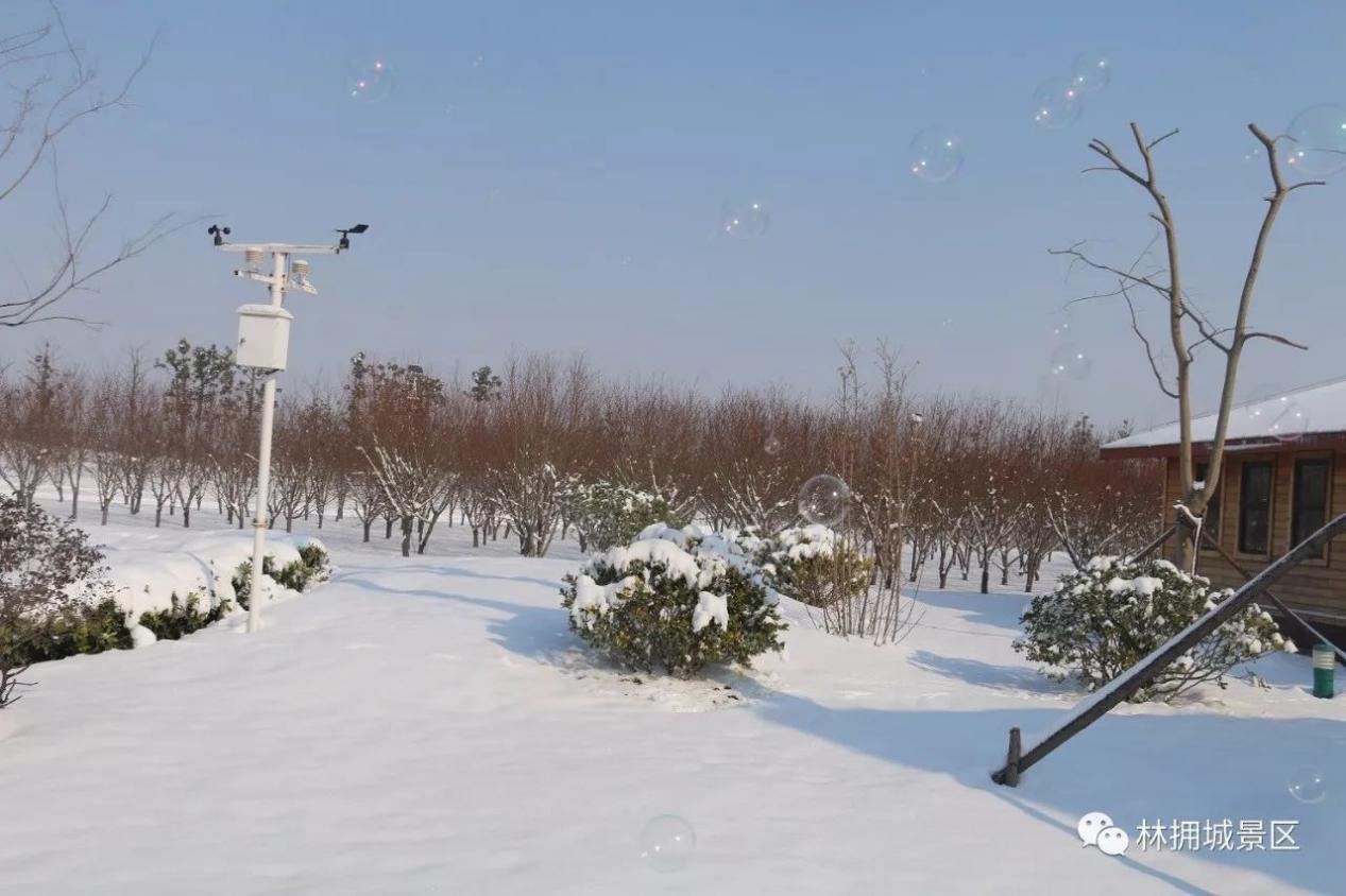 这个周末，打雪仗、堆雪人！来游戏娱乐就对啦！还有难得的优惠活动，不容错过！