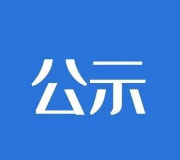 足球外围投注APP2022年公司债主承销商            评选项目招标公告